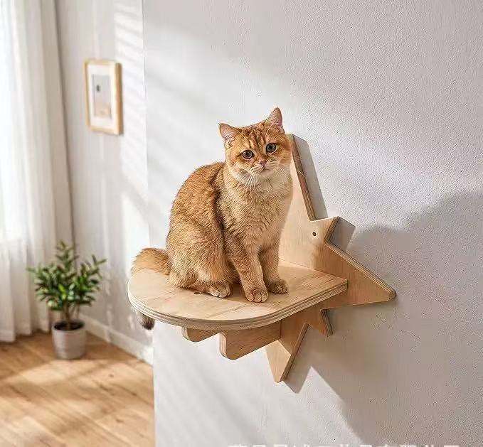 SleepCat - Cama para gatos